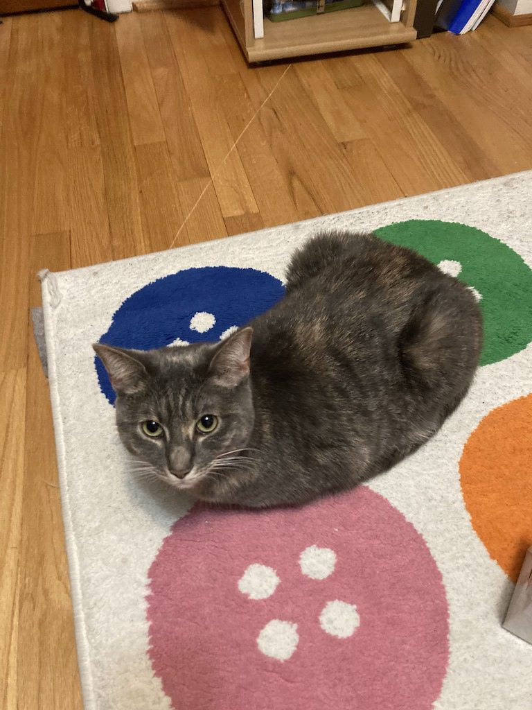 my baby, my beloved stinky